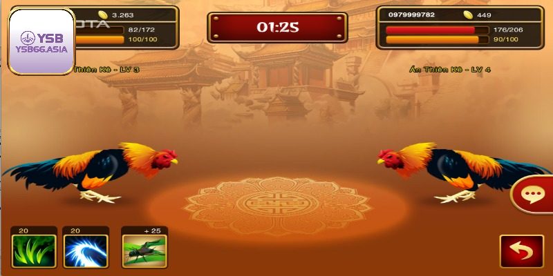 4 hình thức đá gà hấp dẫn