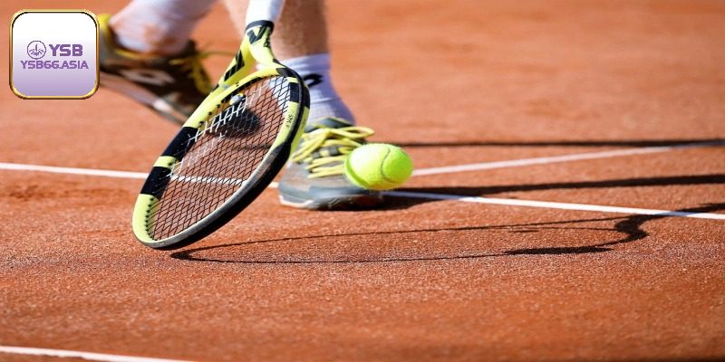 Cá Cược Tennis Xanh Chín, Tỷ Lệ Thưởng Cao Tại YSB66