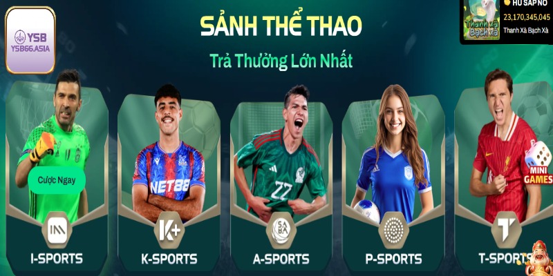 Cá cược thể thao hấp dẫn mọi người chơi