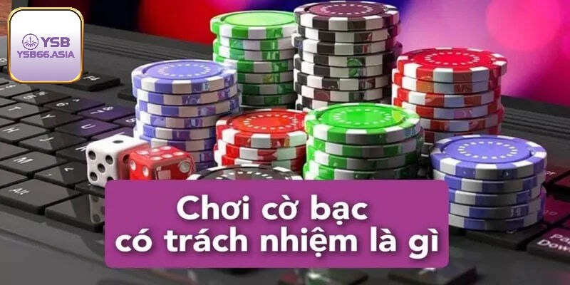 Cam kết về cờ bạc có trách nhiệm YSB66