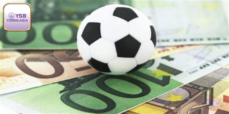 Chọn trang web cá cược bóng đá đảm bảo uy tín