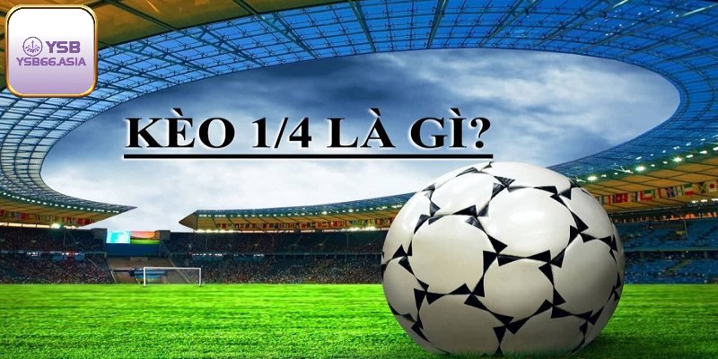 Kèo 1/4 - Hướng Dẫn Chi Tiết Về Cách Đọc Và Kinh Nghiệm Chơi