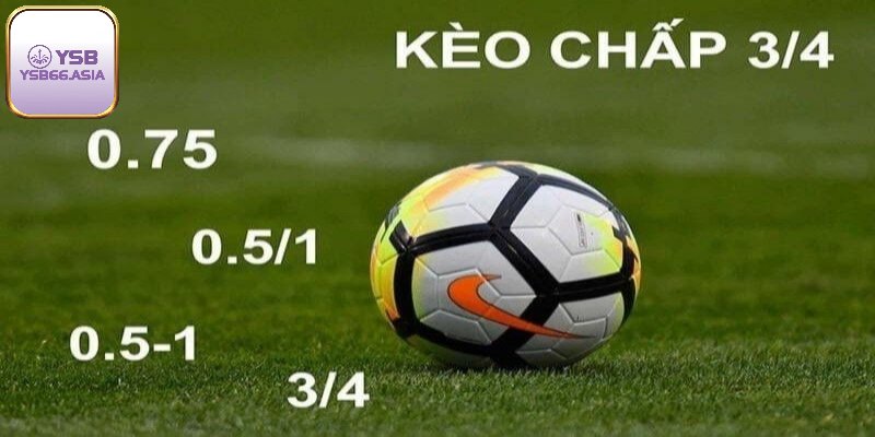 Kèo cược thể thao phong phú