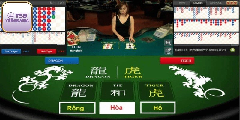 Luật chơi rồng hổ cần nắm rõ