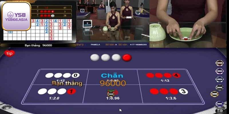 Nên chơi theo 1 cửa cược