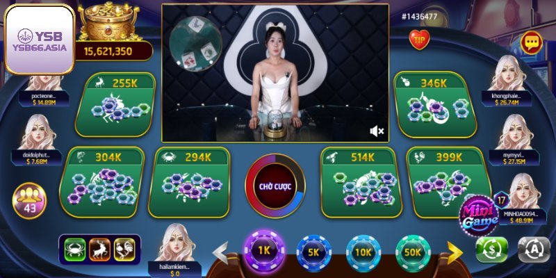 Phân tích kết quả một cách logic