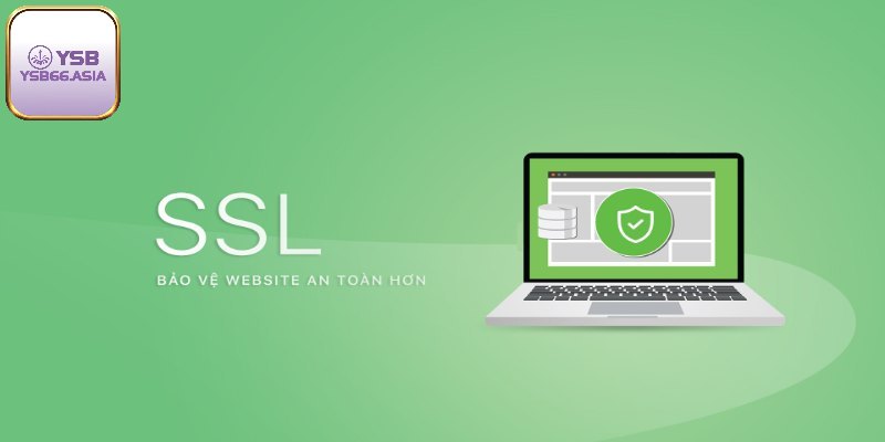 Sử dụng công nghệ SSL 256 bit hiện đại để bảo mật