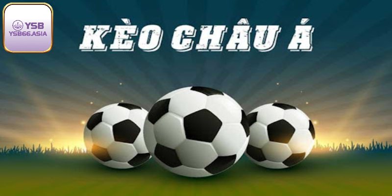 Thả ga chọn kèo thể thao mỗi ngày