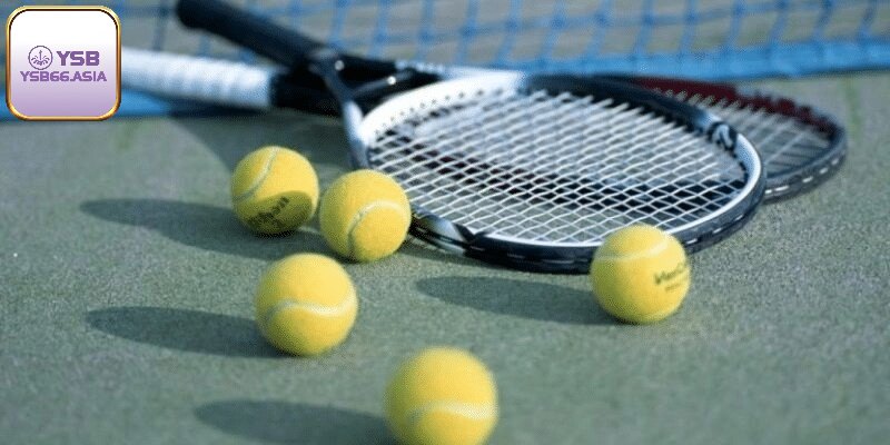 Tham gia cá độ quần vợt hấp dẫn