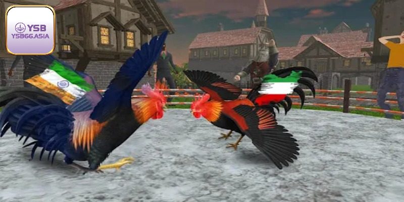 Tìm hiểu game đá gà