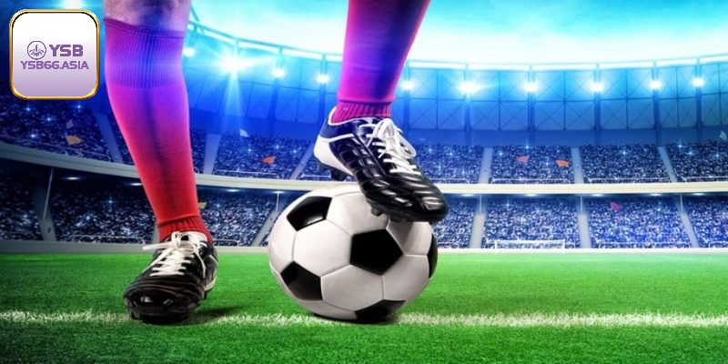 Tìm hiểu về cá cược bóng đá