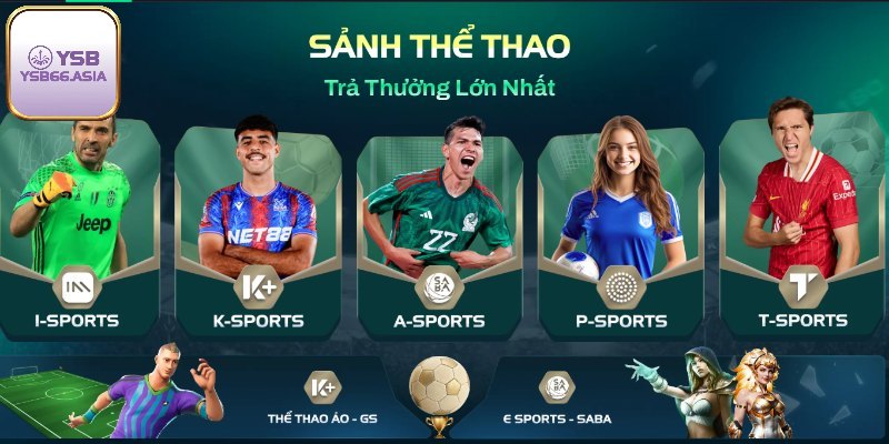 Tổng quan thông tin về thể thao YSB66