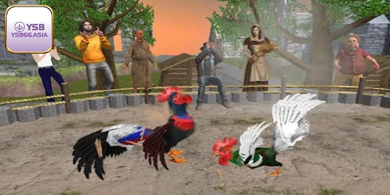 Ưu điểm trải nghiệm đá gà tại YSB66